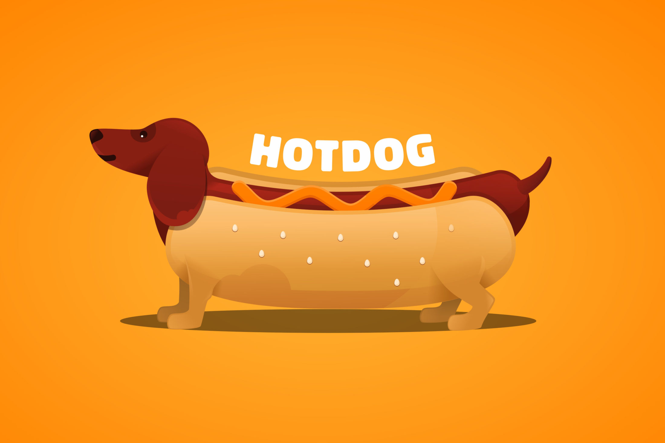 hot-dog-nev-eredete-tacsko